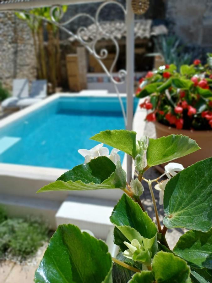 Chez Les Filles Bed & Breakfast Dions Bagian luar foto