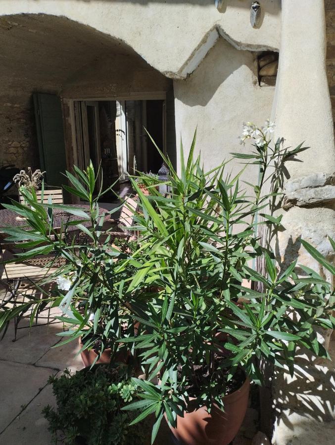 Chez Les Filles Bed & Breakfast Dions Bagian luar foto