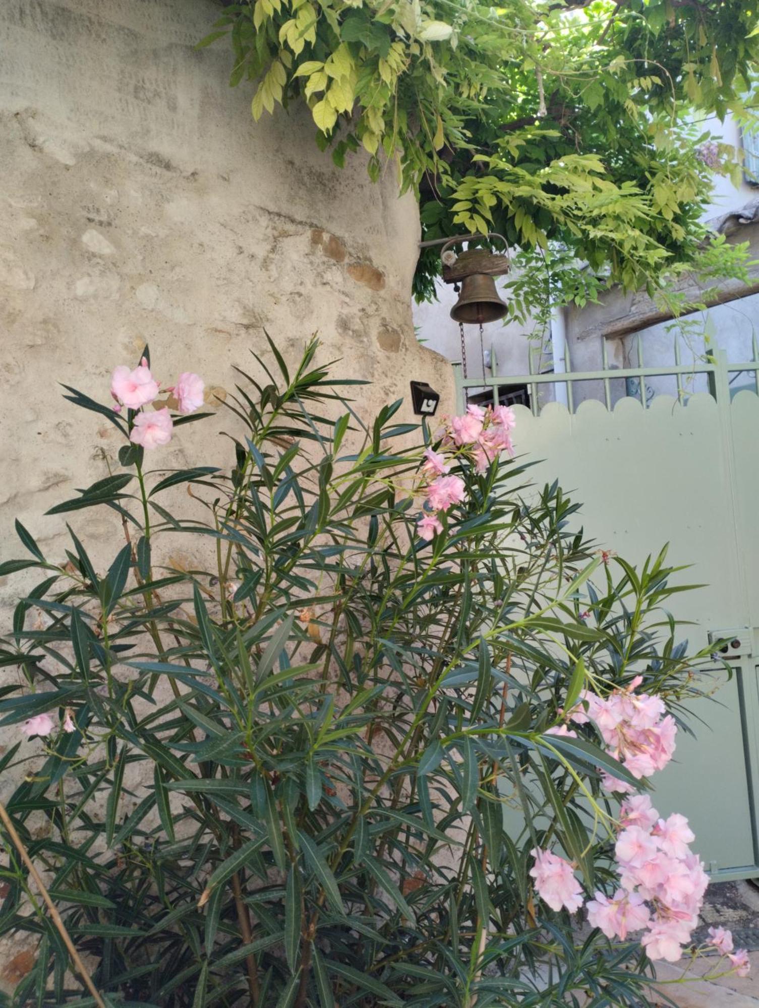 Chez Les Filles Bed & Breakfast Dions Bagian luar foto