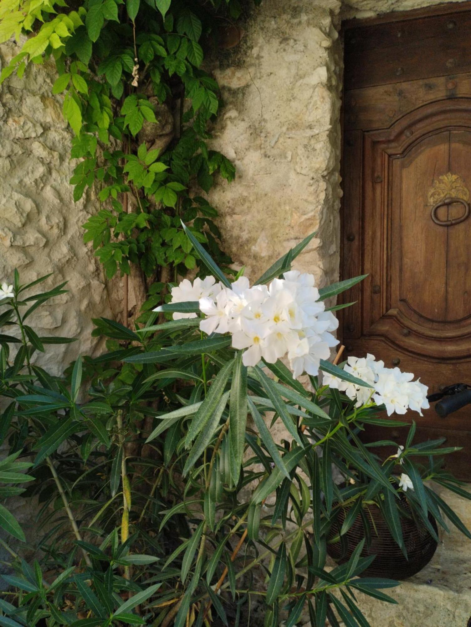 Chez Les Filles Bed & Breakfast Dions Bagian luar foto